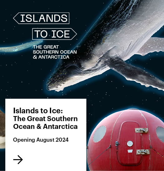Islands to Ice